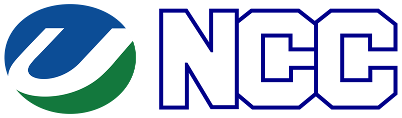 Nippon Cloud Logo